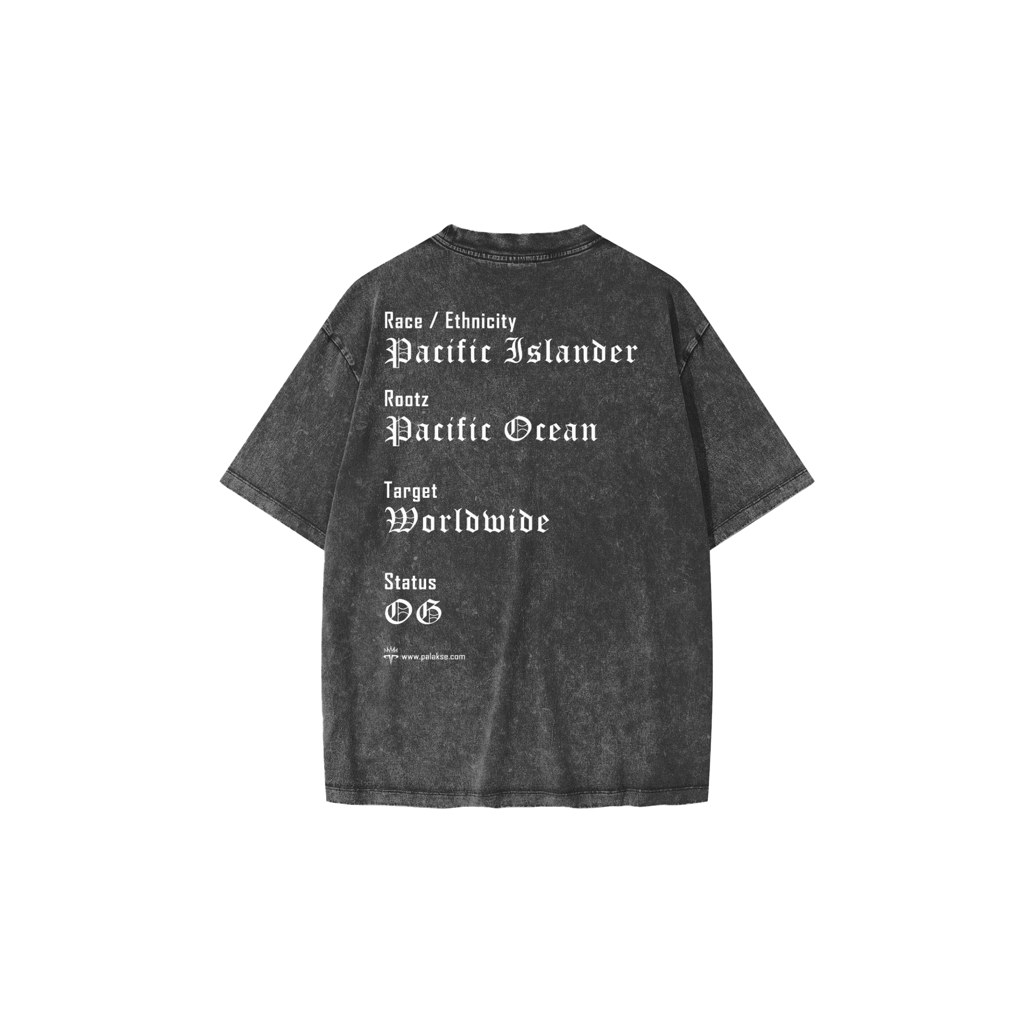 OG Heavyweight Snow Washed Tee